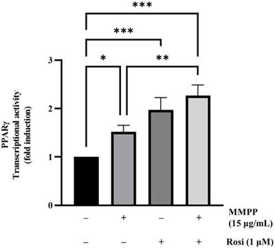 MMPP promotes adipogenesis and glucose uptake via binding to the PPARγ ligand binding domain in 3T3-L1 MBX cells